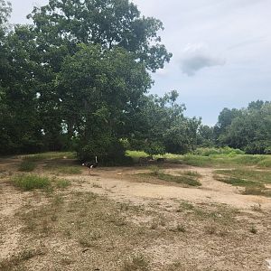 Zoosiana - Mixed field exhibit