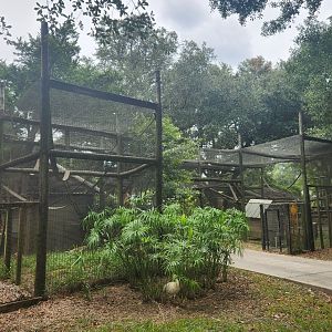 Zoosiana - Common Squirrel Monkey exhibit