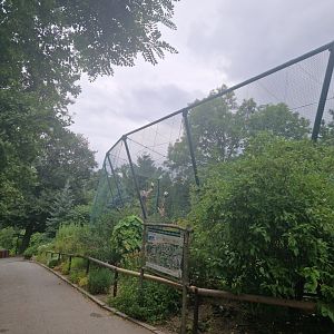 View of vulture aviary