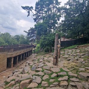 Brown bear enclosure