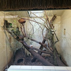 Marmoset indoor enclosure