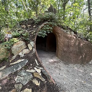 Uwharrie Vision Entrance