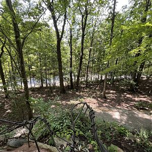 Uwharrie Vision View from Top