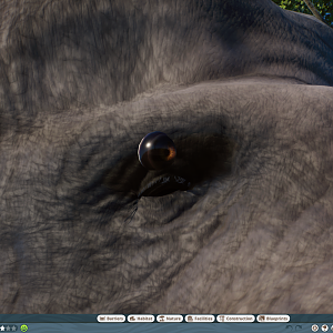 Planet Zoo - Straight Tusked Elephant Mod Eye Bug