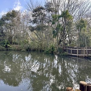 New Zealand Wetlands Exhibit