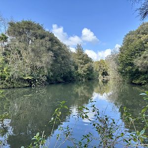New Zealand Wetlands Exhibit