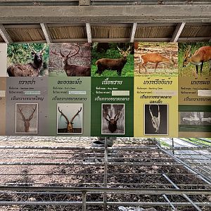 Asian Hooftstock Exhibit - sign