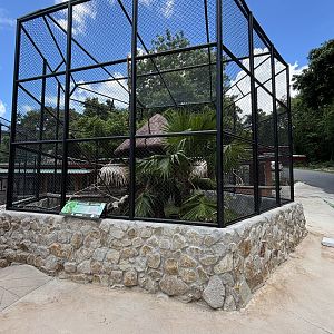 Two-toed Sloth Exhibit (New in 2024)