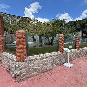 Small-clawed Otter Exhibit #1 (New in 2024)