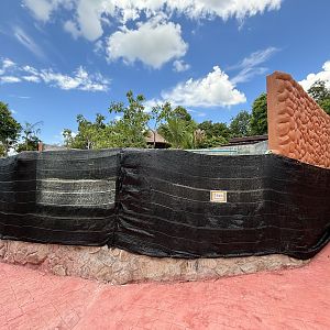 Small-clawed Otter Exhibit #2 (New in 2024)