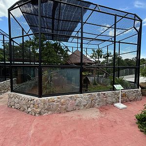 Ring-tailed Lemur Exhibit (New in 2024)