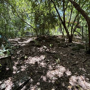 Tortoise Breeding Center (off-show)