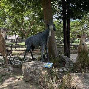 Nilgai Statues