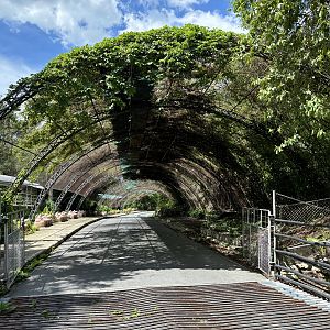 Walk-through Deer Exhibit