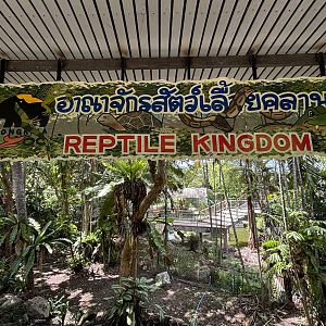 Reptile Kingdom - entrance sign