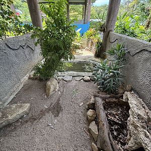 Asian Leaf Turtle Exhibit