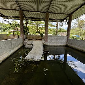 Painted Terrapin + Northern River Terrapin Exhibit