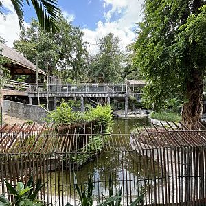 Assorted Crocodile Pools