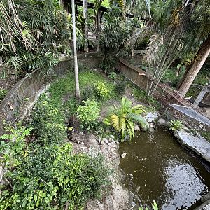 False Gharial Exhibit