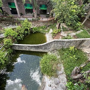 Siamese Crocodile Exhibits