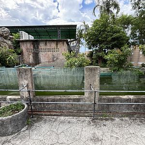 South American Fur Seal Exhibit
