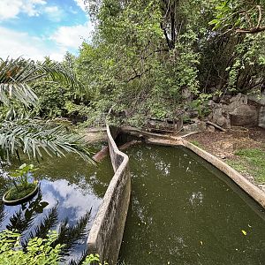 Common Hippo Exhibits #1 + #2