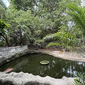 Common Hippo Exhibit #3