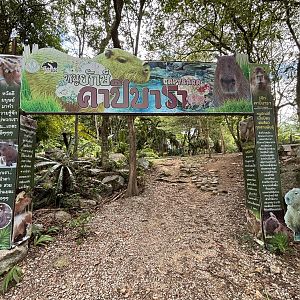 Capybara Exhibit - entrance area