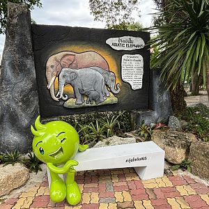 Asian Elephant Exhibit - bench