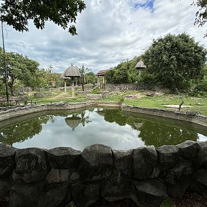 Asian Elephant Exhibit