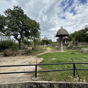 Asian Elephant Exhibit