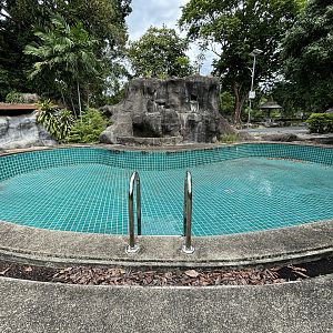 Abandoned Swimming Pool