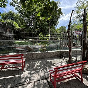 Tiger Exhibit - Indochinese