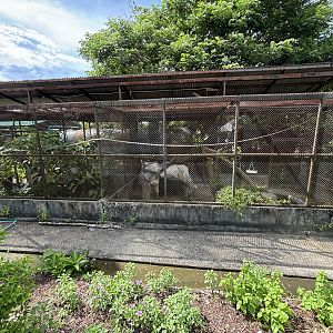 Civet Exhibits (off-show)