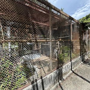 Civet Exhibits (off-show)