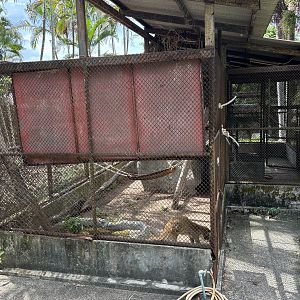 Civet Exhibit (off-show)