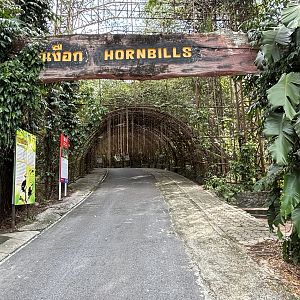 Hornbill Aviaries