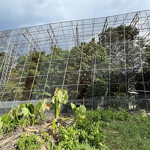 Massive Hornbill Breeding Center (closed to the public)