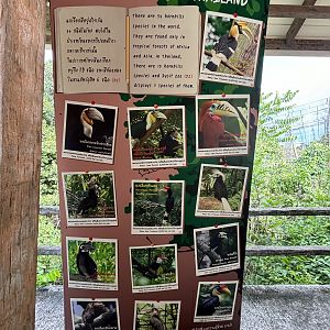 Hornbill Sign