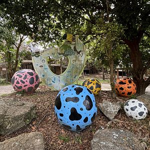 Giant Eggs - Hornbill Zone