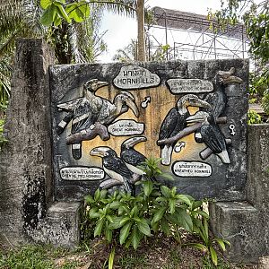 Hornbill Sign