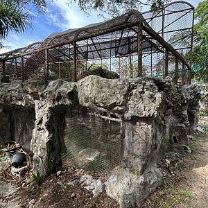 Dusky Leaf Monkey Exhibit (rear view)