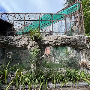 Dusky Leaf Monkey Exhibit