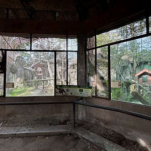 White-handed Gibbon Exhibit
