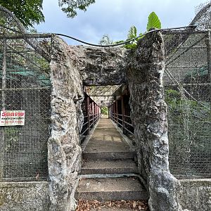 Squirrel Monkey + Raccoon Exhibits