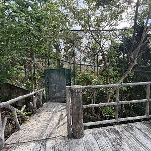 A second massive closed aviary