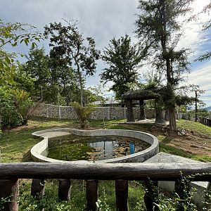 Malayan Tapir Exhibit #1 (New in 2024)