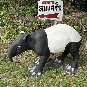 Malayan Tapir Statue