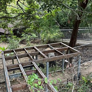 Malayan Tapir Exhibit #4 (current yard)
