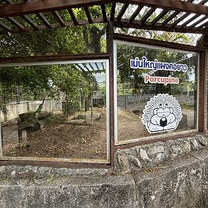 Malayan Porcupine Exhibit